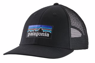 Patagonia  P-6 Logo LoPro Trucker Hat